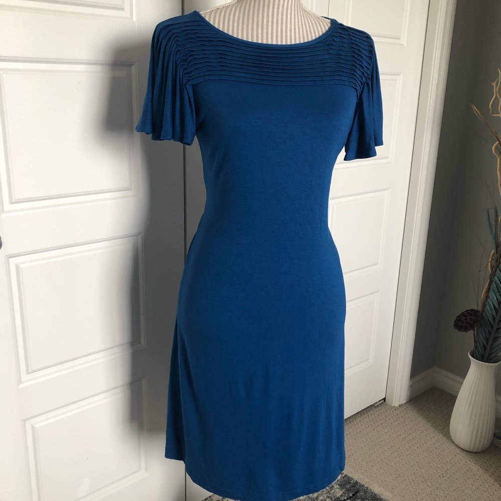 Blue Dress with Pleated Bodice & Flutter Sleeves